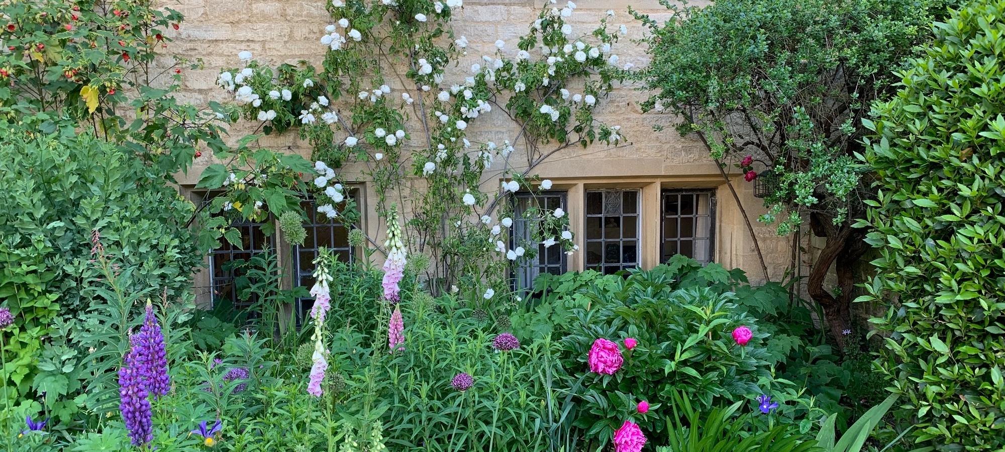 garden in bloom