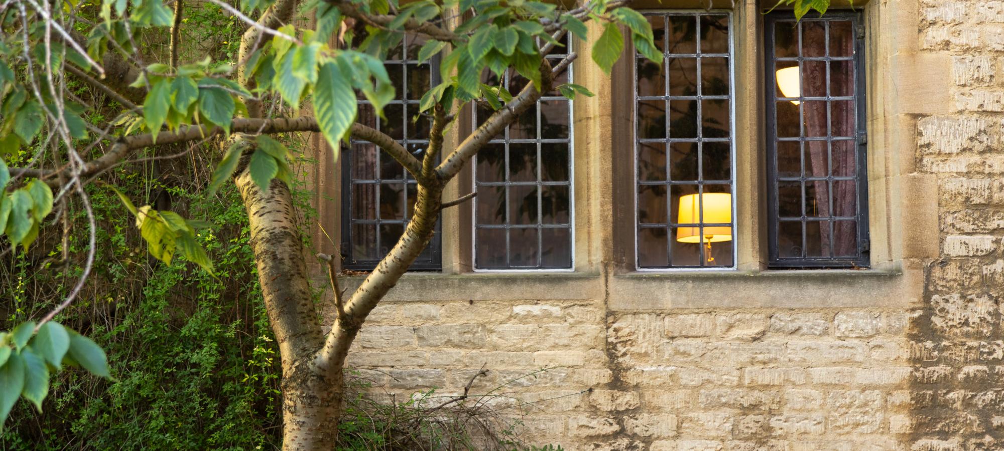 Image of a window at Campion Hall with green leaves on branches of a tree to the left.